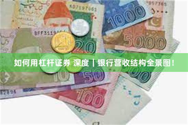 如何用杠杆证券 深度｜银行营收结构全景图！