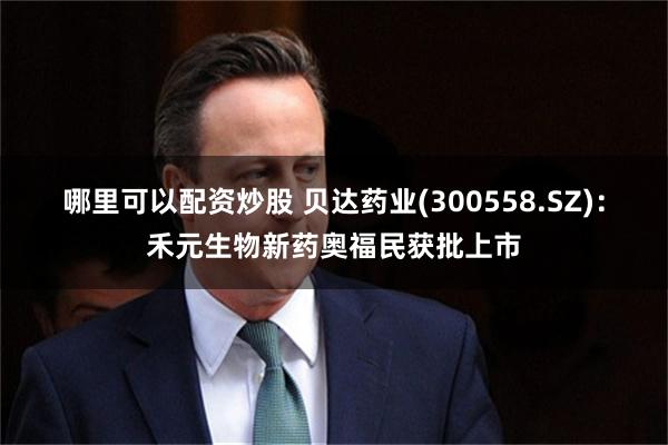哪里可以配资炒股 贝达药业(300558.SZ)：禾元生物新药奥福民获批上市