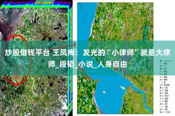 炒股借钱平台 王凤梅：发光的“小律师”就是大律师_段韬_小说_人身自由