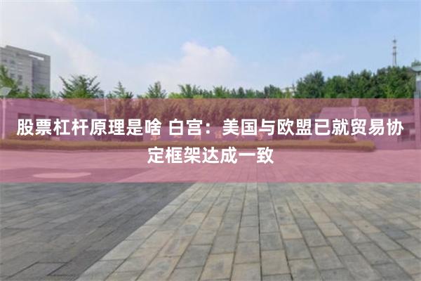 股票杠杆原理是啥 白宫：美国与欧盟已就贸易协定框架达成一致