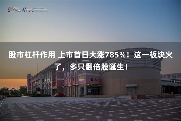股市杠杆作用 上市首日大涨785%!这一板块火了,多只翻倍股诞生!